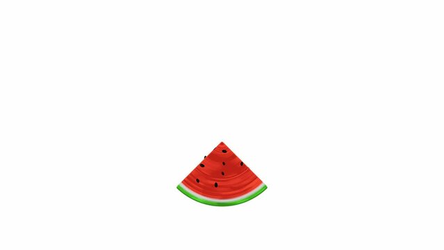3d illustration of Palestine flag with slice of watermelon as a Symbol of Palestinian Solidarity. brush stroke. painting style. copy space. white background