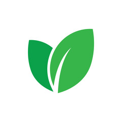 Green leaf illustration