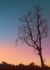 Fototapeta na wymiar Black purple orange yellow gradient Sunset sky with silhouette tree, grass background illustration.
