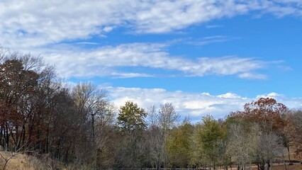 sky and trees