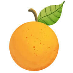 Painting of oranges for worshiping at the Chinese New Year festival