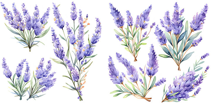 Lavender Vector Images – Browse 268,060 Stock Photos, Vectors, and ...