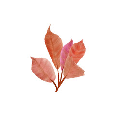 Vector handpainted watercolor dried red spotted leaves