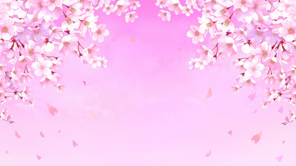 桜の背景素材　枠　桜吹雪　お花見　入学　卒業　入園　卒園　入社　ひな祭り　ひなまつり　新春　16:9