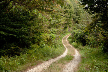 mountain path