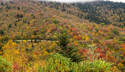 autumn landscape in the mountains