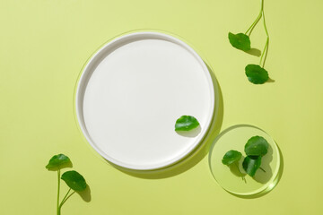 Pennywort leaves on a glass platform and a white ceramic plate. Using products containing pennywort...