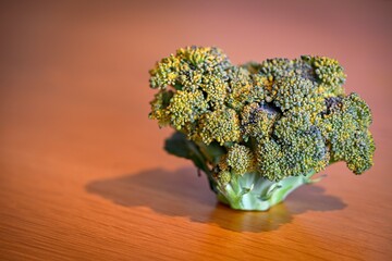 Isolated close up image of a single beautiful and fresh broccoli flower on a wooden table