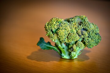Isolated close up image of a single beautiful and fresh broccoli flower on a wooden table