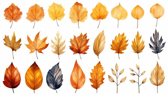A minimalist variety of fallen leaves from various trees in ocher tones on a white background, forming a pattern, wallpaper, frame, banner, texture, design. Ai generated