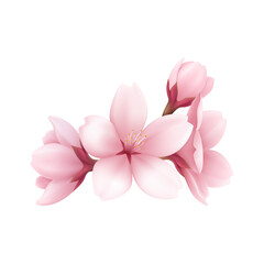 Vector realistic beautiful sakura branches flowers and petals illustration