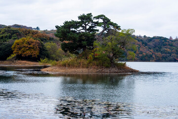 曇天の秋の多鯰ヶ池 鳥取県 多鯰ヶ池