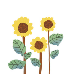 A beautiful  sunflower  element