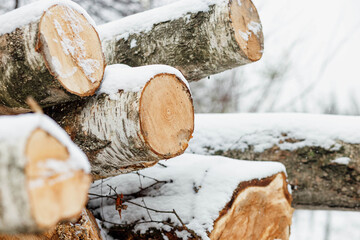 Stack or pile composed of blocks, pieces or logs of wood in winter or spring with snow. Stacking wood for drying and storage