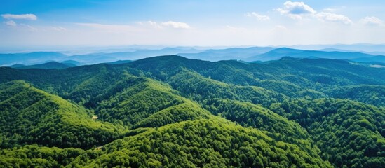 Bright summer day with dense green lush woods covering mountain hills in aerial view. - obrazy, fototapety, plakaty