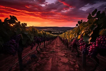 Tuinposter Twilight Over Lush Vineyard Landscape © MyPixelArtStudios