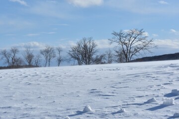 Fototapeta na wymiar Flat field in winter, Kushiro, Hokkaido