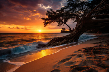 Sunset Serenity on a Secluded Beach