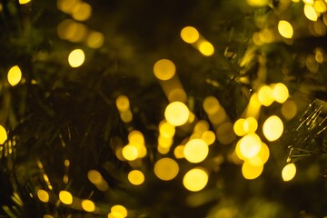 Abstract background with Christmas or New Year festive sparkling light in the form of defocused...