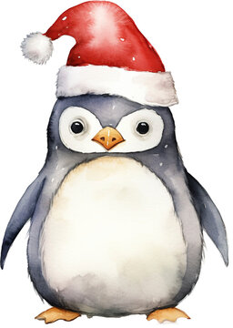 Penguin wearing christmas hat isolated on transparent background