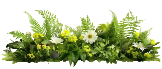 Fotobehang ferns and flowers isolated on transparent background © kharom