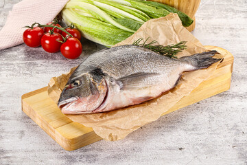 Raw dorada fish served rosemary