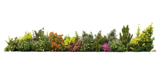 beautiful greenery and shrubbery, with small colorful flowers isolated on transparent background