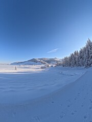Fototapeta na wymiar Winter wonderland snow covered environment 