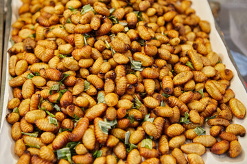 Deep fried Red palm weevil worms the alternative protein