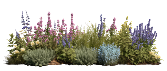 beautiful greenery and shrubbery, with small colorful flowers isolated on transparent background