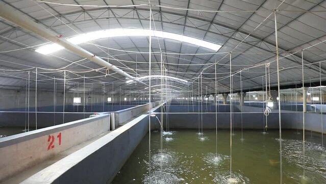 Seawater factory aquaculture workshop, in a farm, North China