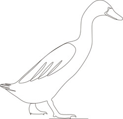 continuous line illustration of a swan standing