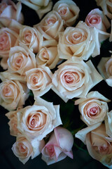 A close up of a bouquet of pale pink roses with green leaves