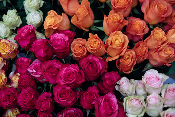 beautiful bouquet of roses in various shades of pink, orange, and white. The roses are arranged in a way that creates a gradient effect from dark pink to light orange