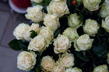 bouquet of white roses in full bloom, beautifully contrasted against a blurred gray background
