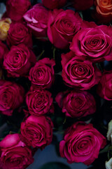 bouquet of pink roses in full bloom, with petals of a deep pink hue. The background is blurred, subtly revealing some orange roses