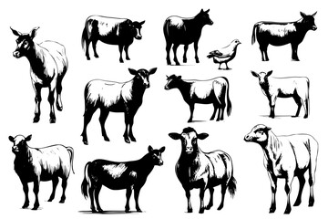 Fototapeta premium Farm animals. Set of vector sketches on a white background