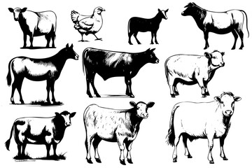 Fototapeta premium Farm animals. Set of vector sketches on a white background