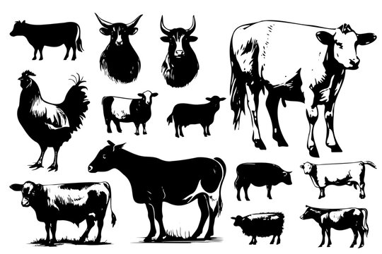 Set Farm animals. Vector sketches hand drawn illustration background. Advertising and design of flyers, booklets. Linear art style.