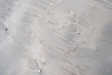 Textures and different colors on a white sand beach