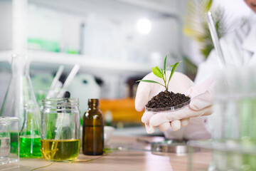 Plant Laboratory concept. Biologist hand with protective gloves holding petri dish with soil and...