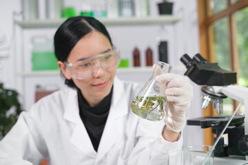 Young Scientist woman, laboratory and test tube with plants, research and analysis of leaves for...
