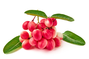 Karonda and leaves isolated on white background. Karonda is fruit in the berry group, has a sour taste, scientific name Carissa carandas (Carunda, Christ's thorn, Bengal Currants).