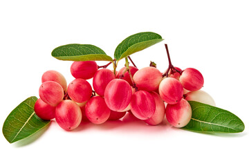 Karonda and leaves isolated on white background. Karonda is fruit in the berry group, has a sour taste, scientific name Carissa carandas (Carunda, Christ's thorn, Bengal Currants).