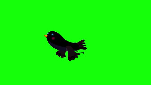 Ouzel bird black cartoon animation character starts flight bluebox. Seamless loop behaviour.