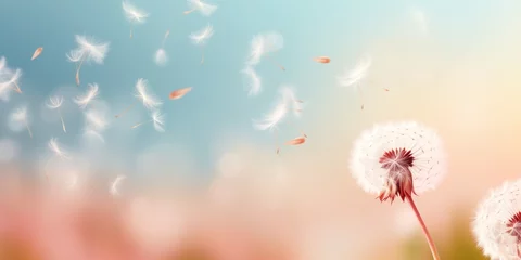 Rolgordijnen dandelion in the wind © xartproduction
