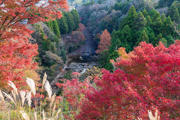 紅葉に包まれた山間の滝