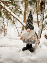 Elf in snowy forest