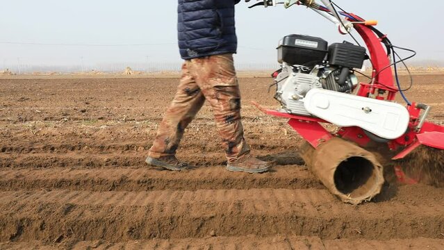 farmers operate ditching machines to dig ditches to plant ginger on a farm in North China