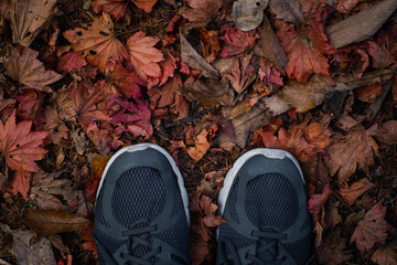 Feet shoes sneakers standing on fall leaves Outdoor with Autumn season nature on background Lifestyle Fashion trendy style. Top and above view.